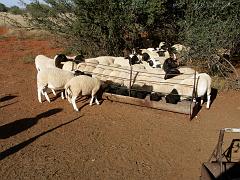 090509_South_Africa 146